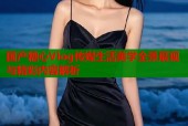 国产糖心Vlog传媒生活美学全景展现与精彩内容解析