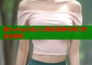 糖心vlog小说入口精彩推荐与热门作品全解析