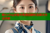 糖心vlog安装失败原因解析及解决方法详解