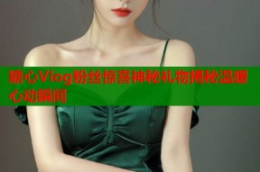 糖心Vlog粉丝惊喜神秘礼物揭秘温暖心动瞬间